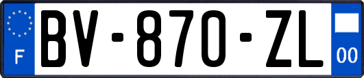 BV-870-ZL