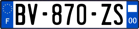 BV-870-ZS