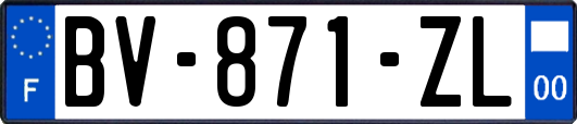 BV-871-ZL