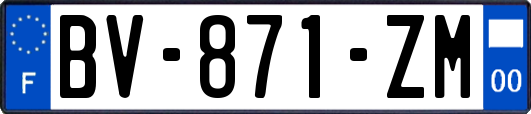 BV-871-ZM