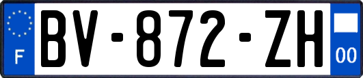 BV-872-ZH