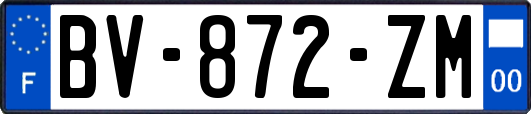 BV-872-ZM