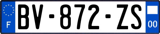 BV-872-ZS