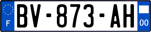 BV-873-AH