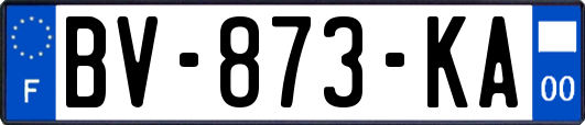 BV-873-KA