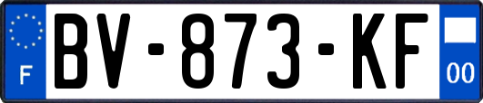 BV-873-KF