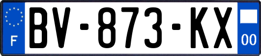 BV-873-KX