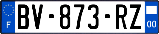 BV-873-RZ