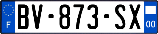 BV-873-SX