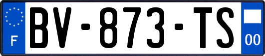 BV-873-TS