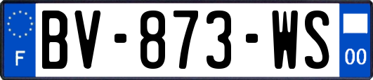 BV-873-WS