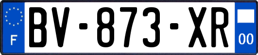 BV-873-XR