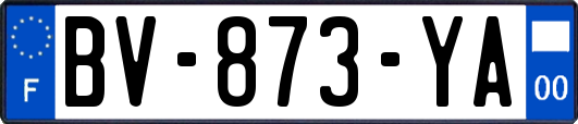 BV-873-YA