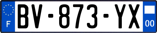 BV-873-YX