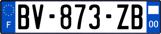 BV-873-ZB