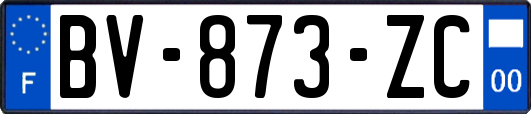 BV-873-ZC