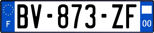 BV-873-ZF