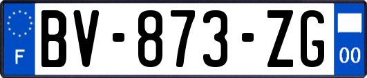 BV-873-ZG