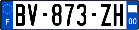 BV-873-ZH