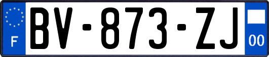 BV-873-ZJ