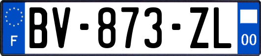 BV-873-ZL