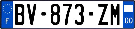 BV-873-ZM