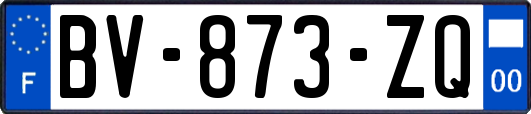 BV-873-ZQ