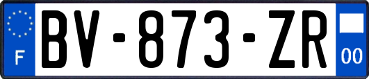 BV-873-ZR