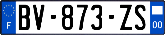 BV-873-ZS