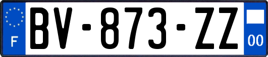 BV-873-ZZ