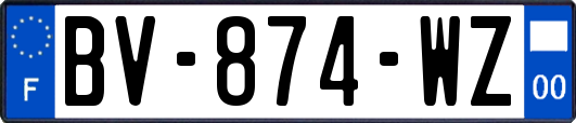 BV-874-WZ