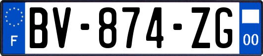 BV-874-ZG