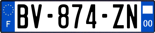 BV-874-ZN