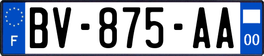 BV-875-AA