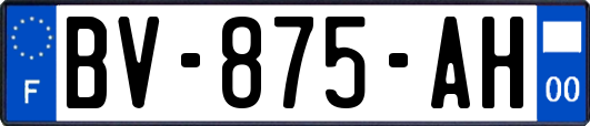 BV-875-AH