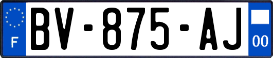 BV-875-AJ