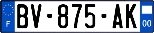 BV-875-AK