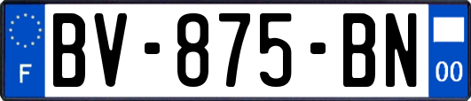 BV-875-BN