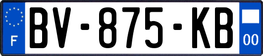 BV-875-KB