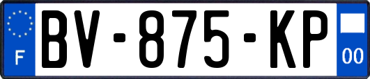 BV-875-KP