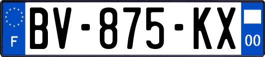 BV-875-KX