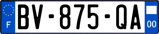 BV-875-QA