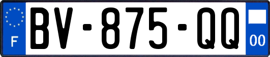 BV-875-QQ