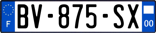 BV-875-SX