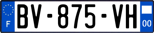 BV-875-VH