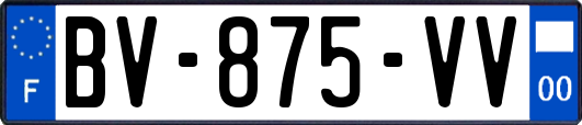 BV-875-VV