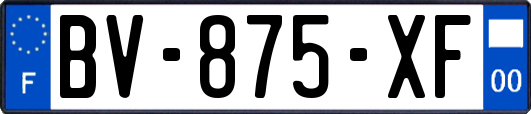 BV-875-XF