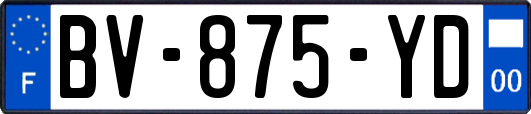 BV-875-YD