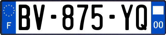 BV-875-YQ