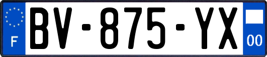 BV-875-YX